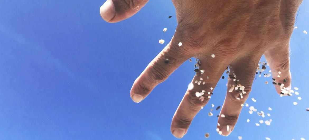 La piel y nuestro entorno en clinica Integria